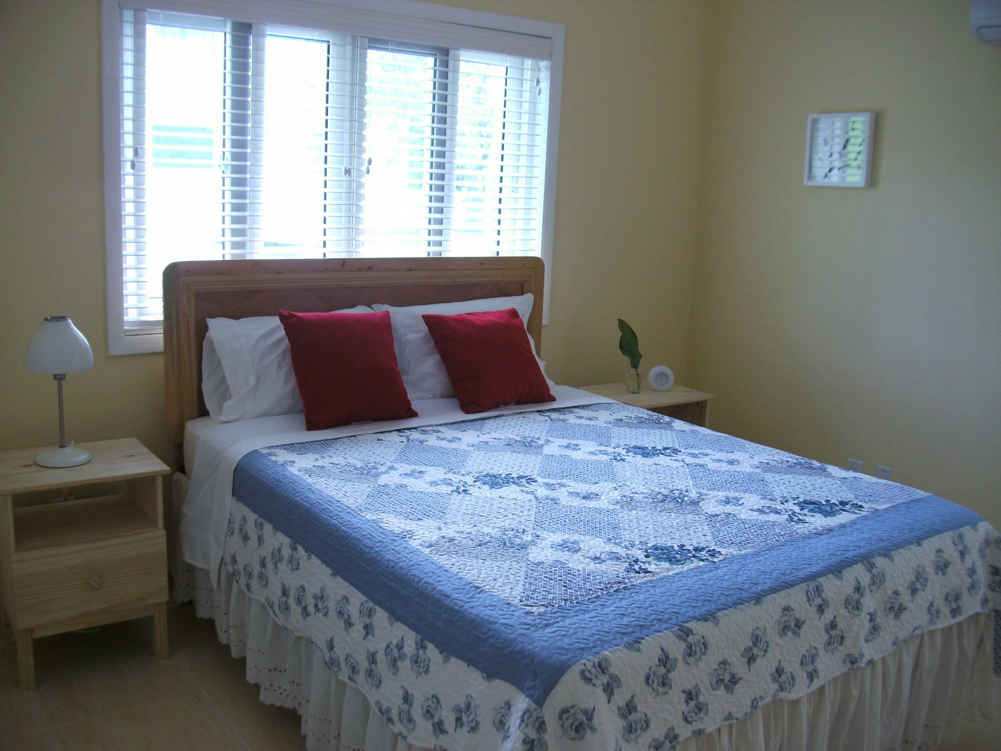 Sir Charles Guest House Palmetto Point Екстер'єр фото