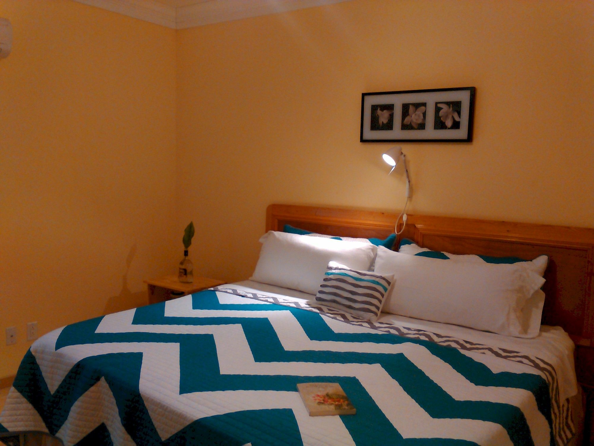 Sir Charles Guest House Palmetto Point Екстер'єр фото