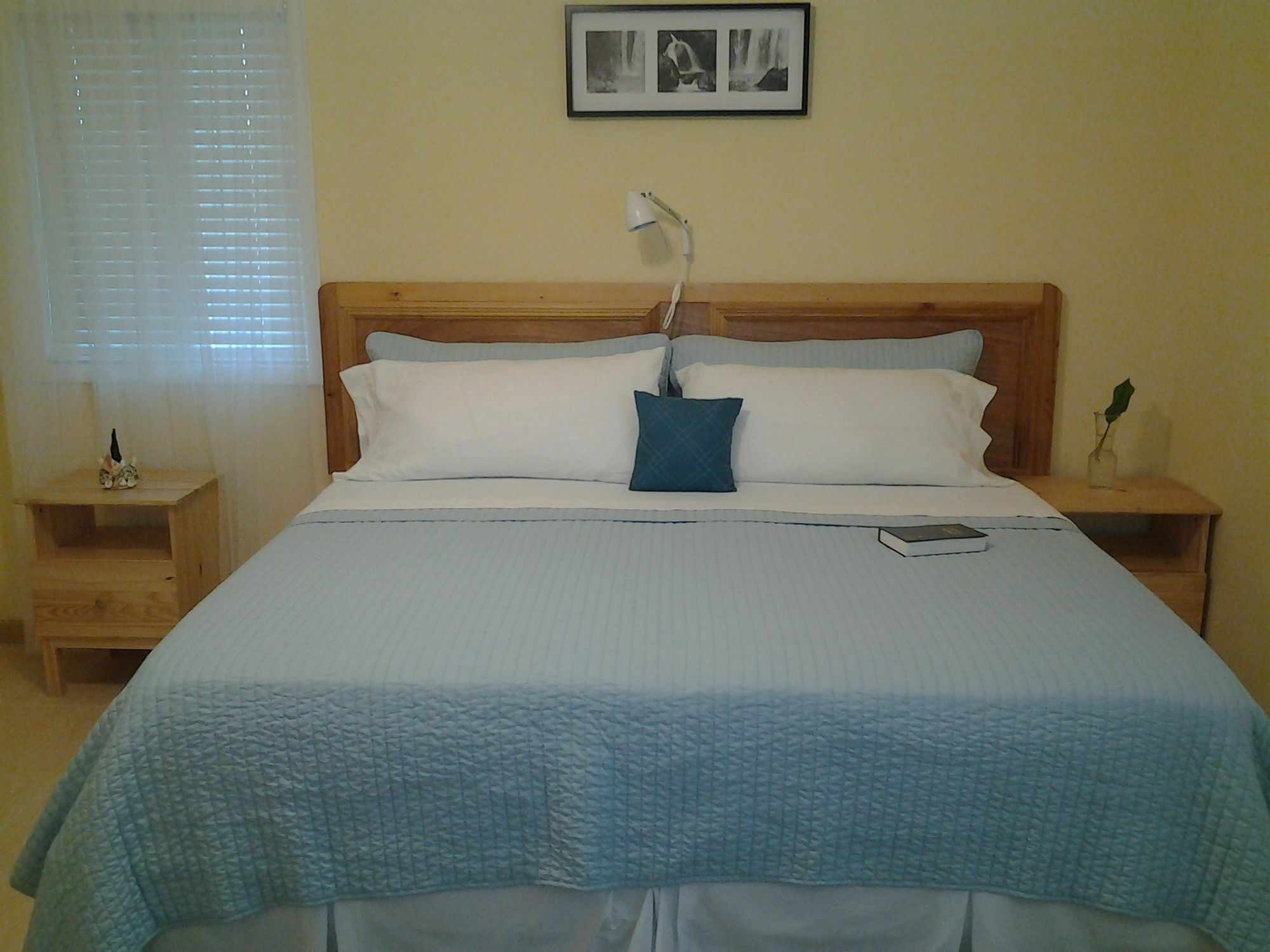 Sir Charles Guest House Palmetto Point Екстер'єр фото