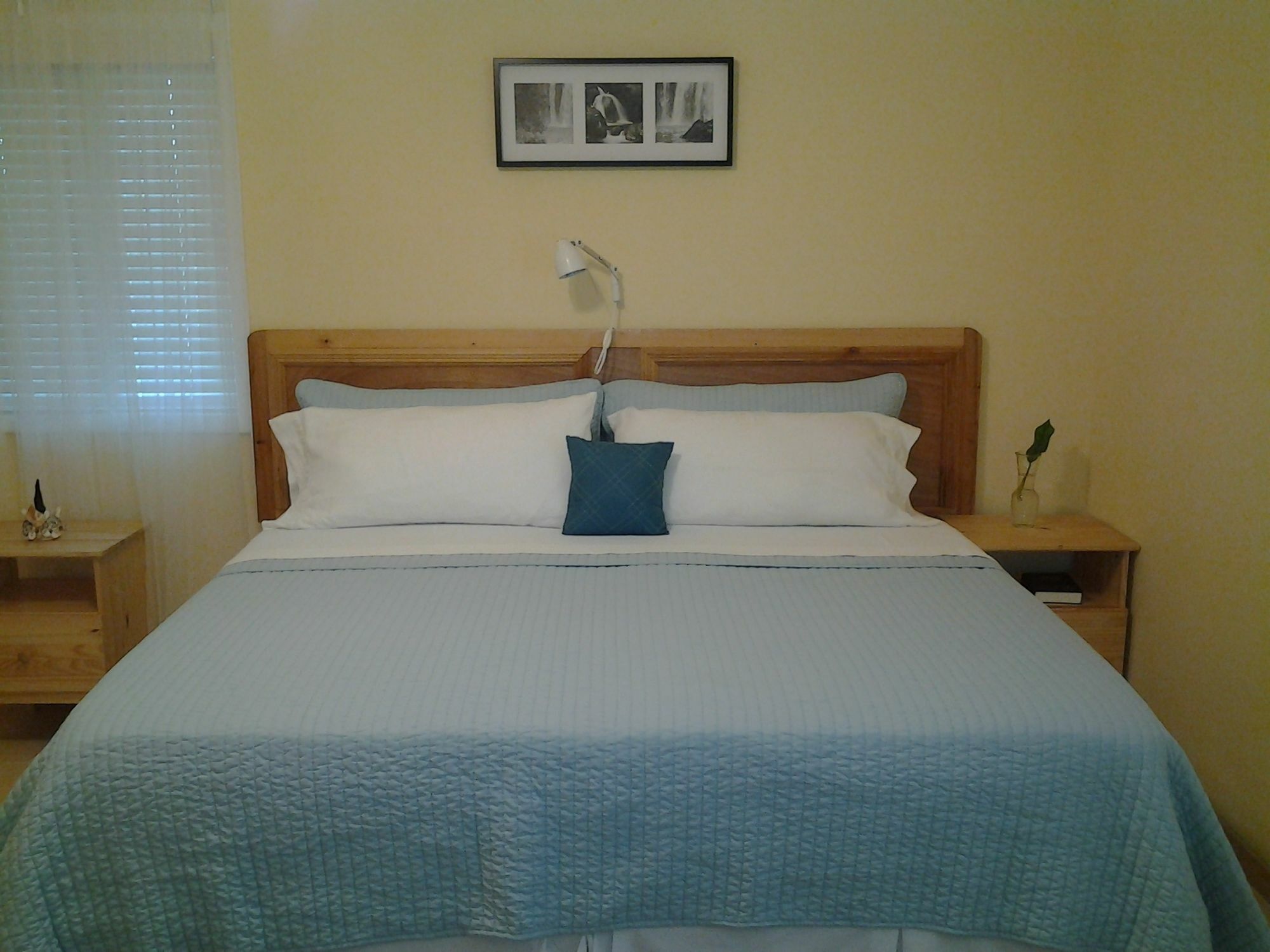 Sir Charles Guest House Palmetto Point Екстер'єр фото